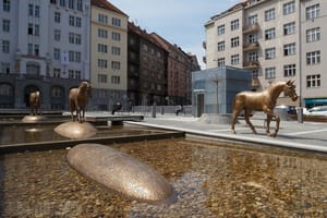 Koně na náměstí