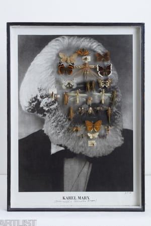 Karl Marx As A Collection Of Butterflies And Insects