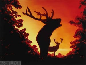 Deer series. At Sunset