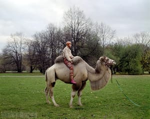 On a Camel