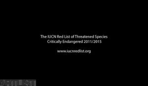 The IUCN Red List of Threatened Species (Critically Endangered)