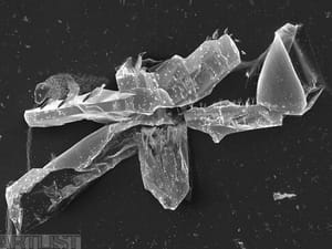 Neznámý krystal (série Nanospolečenství)