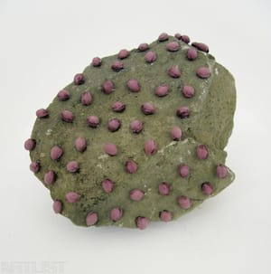 Stone with cherry stones