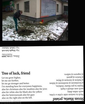 Tree of Luck