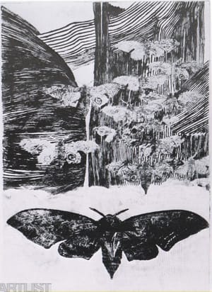 Owlet Moths II